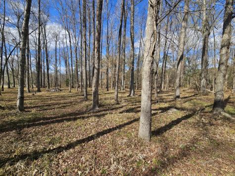 271 Winningham Road Summerville SC 29483