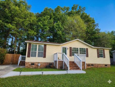 254 Grapevine Road Summerville SC 29483