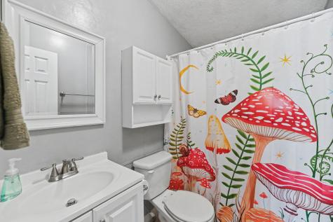 254 Grapevine Road Summerville SC 29483