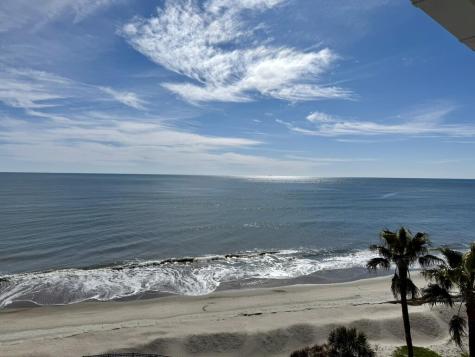 9002 Palmetto Drive Isle Of Palms SC 29451