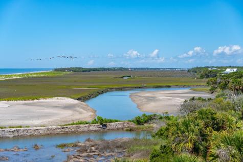 67 Lost Village Trail Edisto Island SC 29438