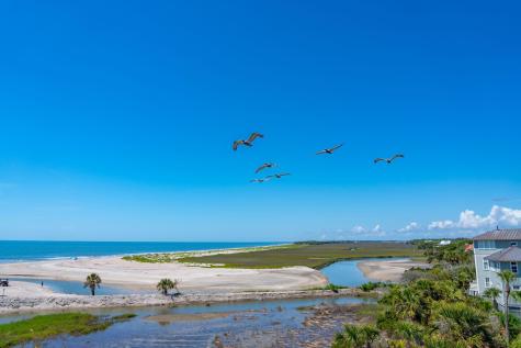 67 Lost Village Trail Edisto Island SC 29438