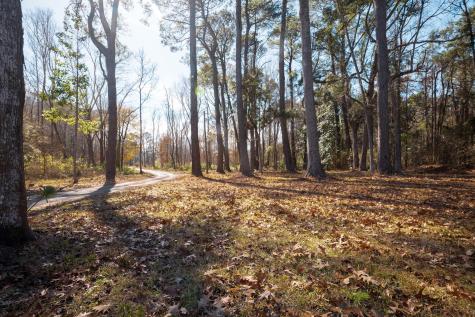 4294 River Road Johns Island SC 29455