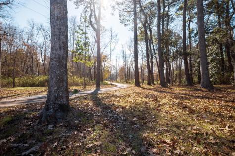 4294 River Road Johns Island SC 29455