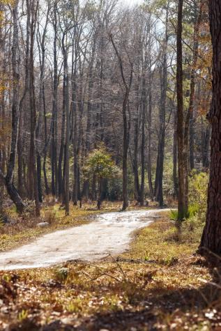 4294 River Road Johns Island SC 29455