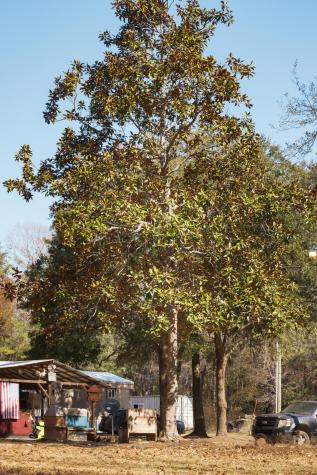 4294 River Road Johns Island SC 29455