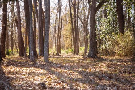 4294 River Road Johns Island SC 29455