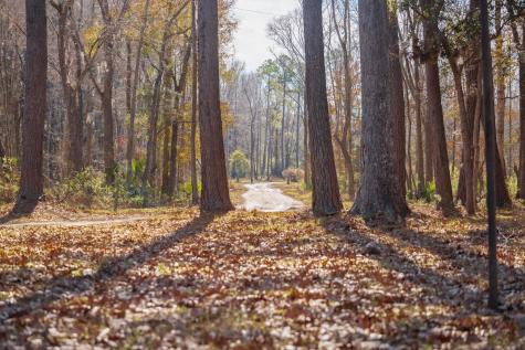 4294 River Road Johns Island SC 29455