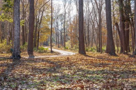 4294 River Road Johns Island SC 29455