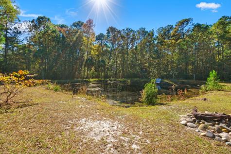7687 Highway 162 Hollywood SC 29449