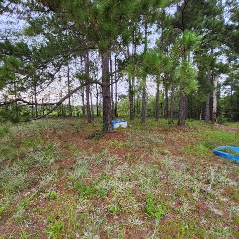 1078 Sullivan Drive Manning SC 29102
