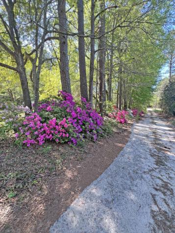 1525 Ethan Stone Road Manning SC 29102