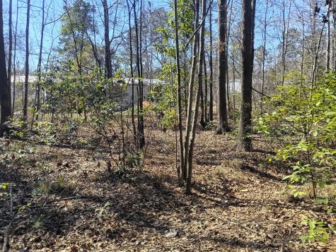 125 Knight Avenue Summerville SC 29483