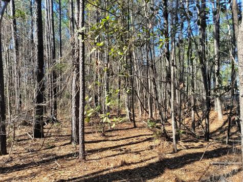 125 Knight Avenue Summerville SC 29483