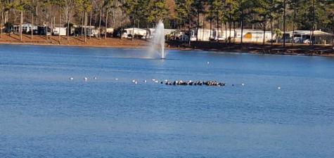 2729 Libra Drive Myrtle Beach SC 29575