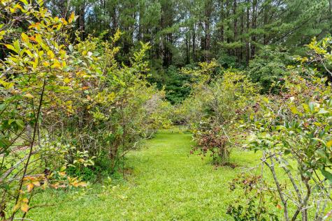 180 Rivers Turn Road Orangeburg SC 29115