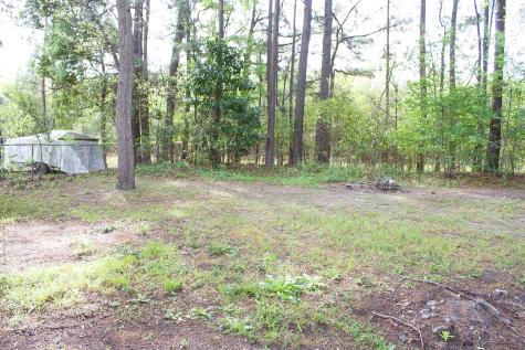 405 Treeline Drive Moncks Corner SC 29461