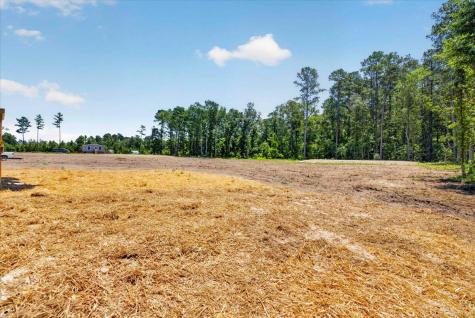 1658 Calamus Pond Road Summerville SC 29483