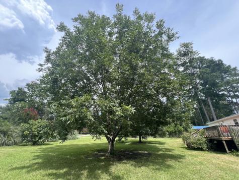 1156 W A. Gamble Road Manning SC 29102