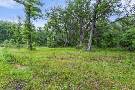 7855 Mary Seabrook Road Edisto Island SC 29438