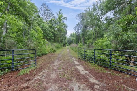7855 Mary Seabrook Road Edisto Island SC 29438