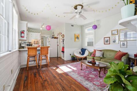163 Coming Street Charleston SC 29403