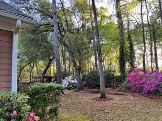 98 Marshside Drive Summerville SC 29485