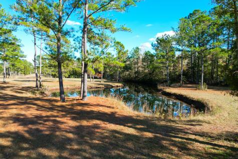 6615 Old Jacksonboro Road Ravenel SC 29470