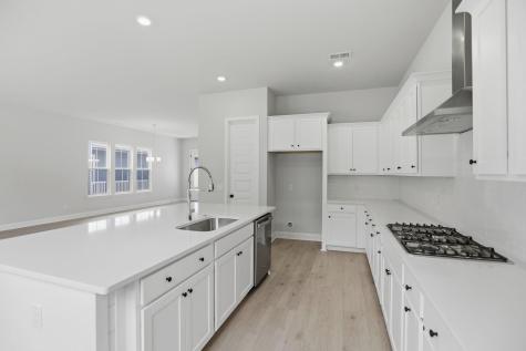 195 Threaded Fern Street Summerville SC 29485