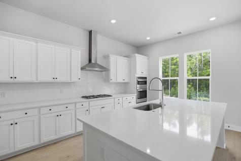 195 Threaded Fern Street Summerville SC 29485