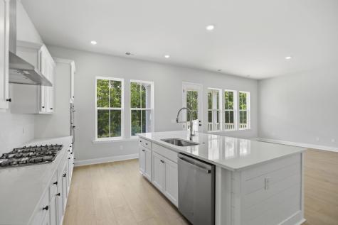 195 Threaded Fern Street Summerville SC 29485