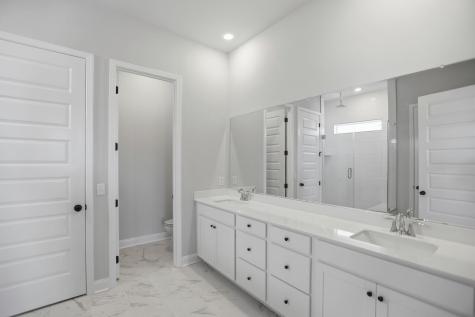 195 Threaded Fern Street Summerville SC 29485