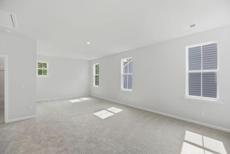 195 Threaded Fern Street Summerville SC 29485