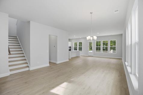 195 Threaded Fern Street Summerville SC 29485