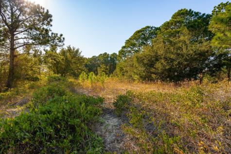 3019 Ion Avenue Sullivans Island SC 29482