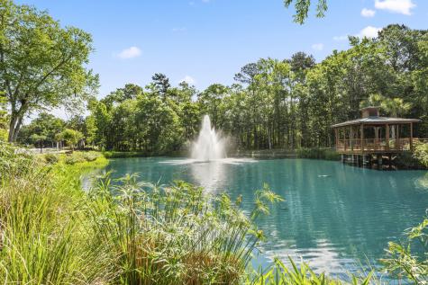 2312 Egret Crest Lane Charleston SC 29414