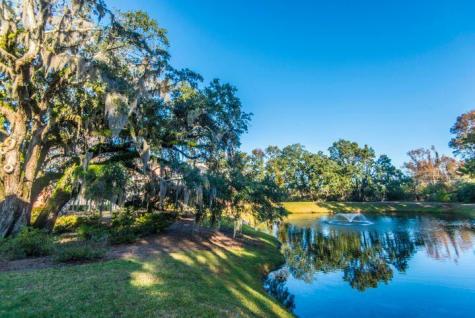 2216 Chatelain Way Mount Pleasant SC 29464