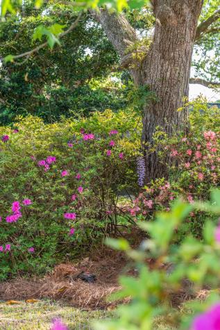 2227 Woodland Shores Road Charleston SC 29412
