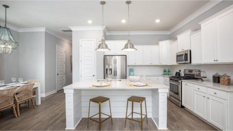 135 Sea Oats Street Summerville SC 29485
