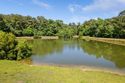 207 Sparkleberry Lane Ladson SC 29456
