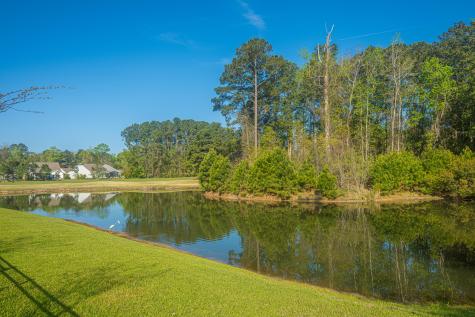6228 Woodsedge Court Hollywood SC 29449