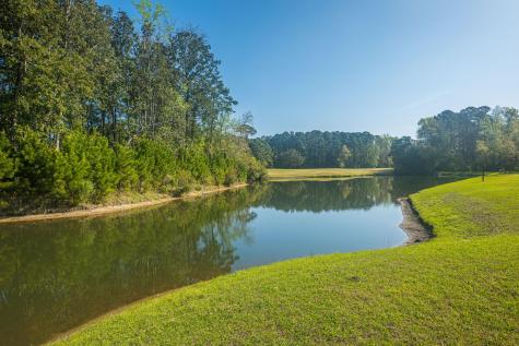 6228 Woodsedge Court Hollywood SC 29449