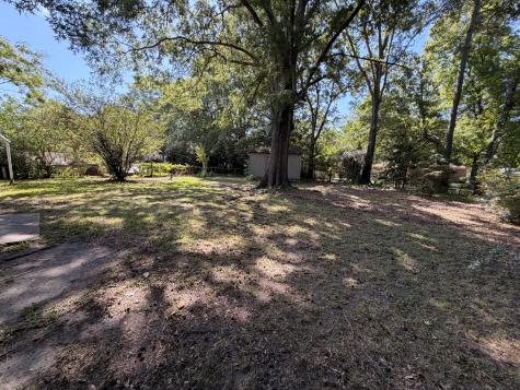 217 Birch Avenue Goose Creek SC 29445