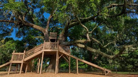 110 Loon Drive Summerville SC 29483
