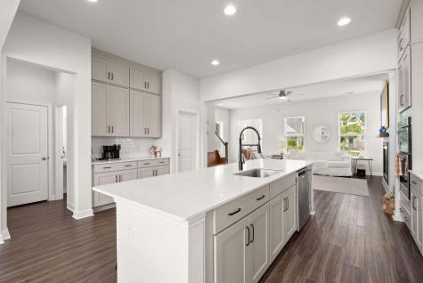 742 Myrtle Branch Street Summerville SC 29486