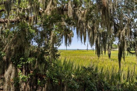 897 Kushiwah Creek Court Charleston SC 29412
