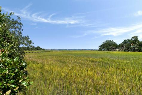 897 Kushiwah Creek Court Charleston SC 29412