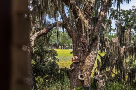 897 Kushiwah Creek Court Charleston SC 29412