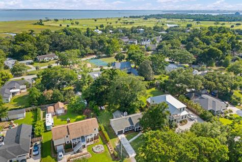 317 Hawthorne Street Mount Pleasant SC 29464