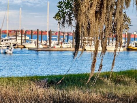 320 Longshore Street Charleston SC 29492